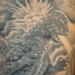 tattoo galleries/ - godzila tattoo