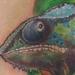 Chamaleon Tattoo Tattoo Design Thumbnail