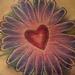 tattoo galleries/ - flower Tattoo - 59810