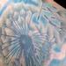 Dandilyon flower color tattoo Tattoo Design Thumbnail