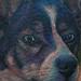 tattoo galleries/ - husky tattoo - 56989