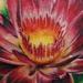 tattoo galleries/ - lotus cover up - 54936