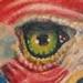 tattoo galleries/ - American Eagle