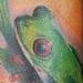 Tattoos - Red Eye Tree Frog - 58227