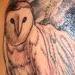 tattoos/ - The Owl Path - 63598