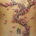 tattoo galleries/ - Cherry Blossom Tree - 58448