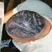 tattoo galleries/ -  - 39288