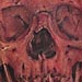 tattoo galleries/ - skull