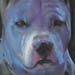tattoo galleries/ - OZZY - 17921