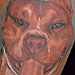 tattoo galleries/ - pitbull - 16117