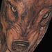 tattoo galleries/ - wolf - 14515