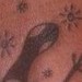tattoos/ - Black work animal tattoos - 49859