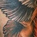 tattoo galleries/ - Eagle