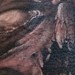 tattoo galleries/ - Zombie skull