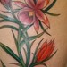 tattoo galleries/ -  - 41196
