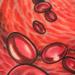 Tattoos - Red blood cells - 75639