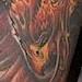 Tattoos - Fire Water sleeve - 75645