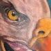 tattoo galleries/ - Bald Eagle - 65629