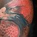 tattoo galleries/ - Golden Eagle - 65627