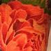 Tattoos - Peony flower - 75640