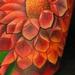 tattoo galleries/ - chrysanthemum