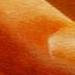 Close up Art Thumbnail