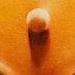 Close up Art Thumbnail