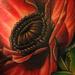 Tattoos - Poppy  - 74428