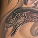 Tattoos -  - 37582