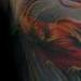 Tattoos - Lindsey's Side - 62294
