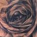 Tattoos - rose face morph - 74743