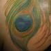 tattoos/ - peacock feather tattoo - 46246