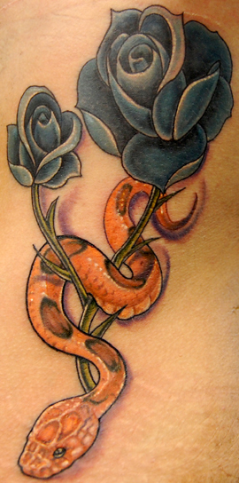 Trent Edwards - cornsnake