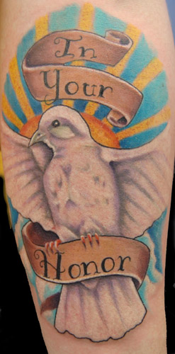 Trent Edwards - dove