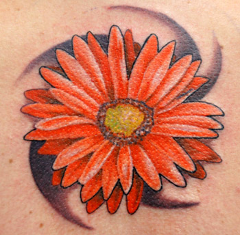 Daisy Tattoo Designs on Tattoos   Trent Edwards   Page 10   Gerber Daisy