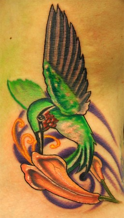 Trent Edwards - humming bird