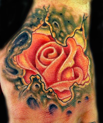 Trent Edwards - organic glowing rose