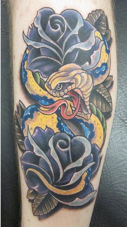 Trent Edwards - snake and roses