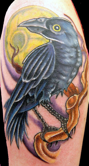 Trent Edwards - raven