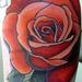 rose Tattoo Thumbnail