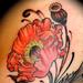 Tattoos - poppy flower - 58179