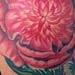 tattoo galleries/ - Peony - 14459