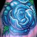 tattoo galleries/ - Blue Rose