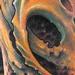 Bio leg sleeve Tattoo Thumbnail
