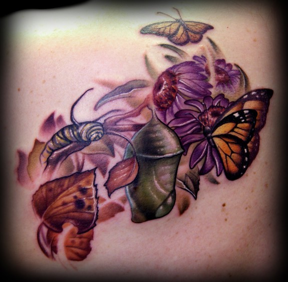 Kelly Doty - Monarch Butterfly Life Cycle tattoo