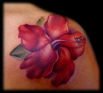 Hibiscus Flower Picture on Tattoo Gathering   Tattoos   Flower   Red Hibiscus Flower Tattoo