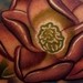 Tattoos - Glowing Magnolias tattoo - 48785