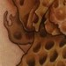 Tattoos -  - 42065