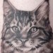 Tattoos -  - 40617