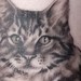 Tattoos -  - 40619